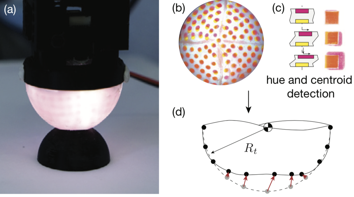 Curvature sensing with a spherical tactile sensor using the color-interference of a marker array